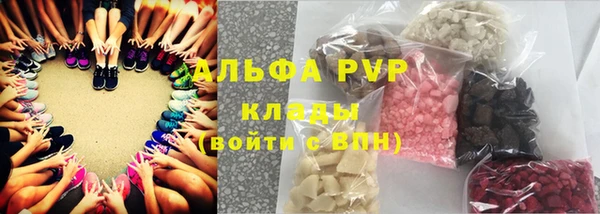 PSILOCYBIN Бородино